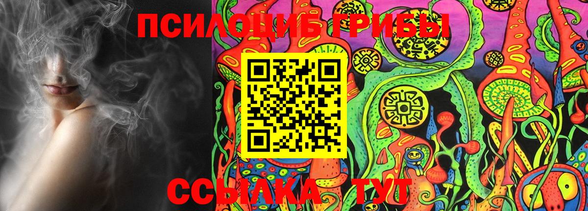 Псилоцибиновые грибы MAGIC MUSHROOMS  Вход с VPN  Галлюциногенные грибы мицелий  Волхов 